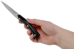 Due Cigni Arne Line Couteau D'office 10 Cm, Noir -Chic Couteaux Magasin DG2C901 06 due cigni arne