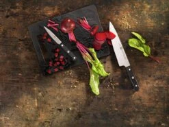 Zwilling Gourmet Couteau D'office 10 Cm, 36110-101 15 Zwilling Gourmet Couteau D'office 10 Cm, 36110-101 -Chic Couteaux Magasin Gourmet3