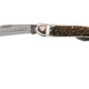 Robert Klaas Classic Line 100mm, Real Stag 383-451 Couteau & Décapsuleur -Chic Couteaux Magasin RS383 451 01 robert klaas rs383 451 01