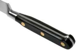 Lion Sabatier Idéal Couteau D'office 10 Cm, 711080 -Chic Couteaux Magasin SA1372 04 04 lion sabatier v202006