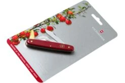 Victorinox Couteau Greffoir & Serpette 3 3.9116.B1 Rouge -Chic Couteaux Magasin VT3 9116 B1 08 victorinox