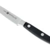 Zwilling - Professional « S » Couteau à Larder Et à Garnir 10 Cm -Chic Couteaux Magasin ZW31020 100 01 zwilling 31020 10 officemes d1